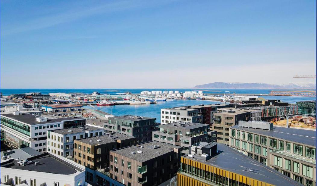 Cozy Lux 2Br & 2Ba City Center With Free Parking Reykjavík Dış mekan fotoğraf